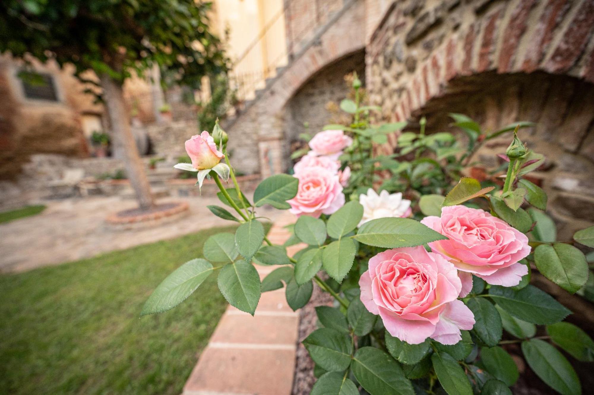 Apartmán Casa La Girandola Castiglion Fiorentino Exteriér fotografie